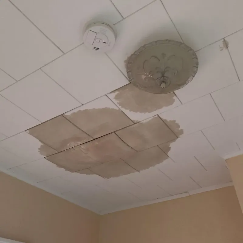 Ceiling Water Damage Repair in Ashland, NE