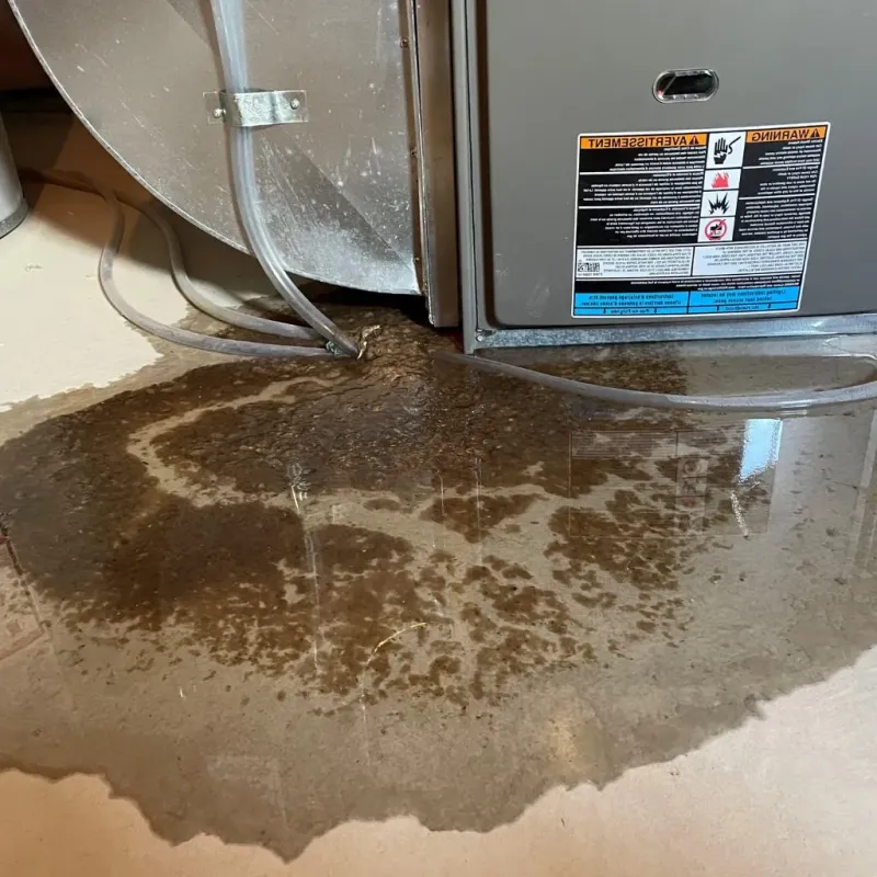 Pipe Burst and Leak Restoration in Ashland, NE