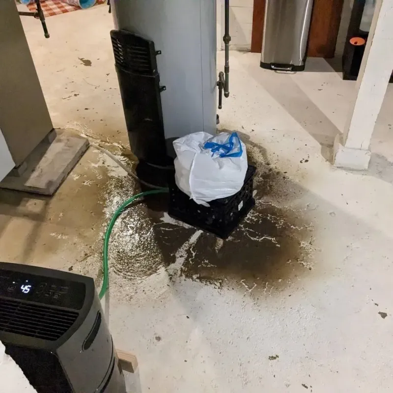 Sewage Backup Cleanup Service in Ashland, NE